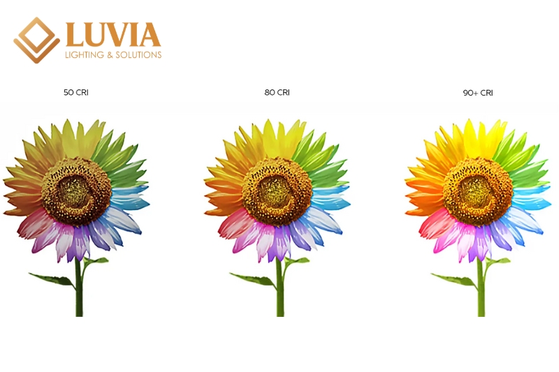 Chỉ Số Hoàn Màu