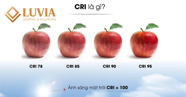 Chỉ Số Hoàn Màu