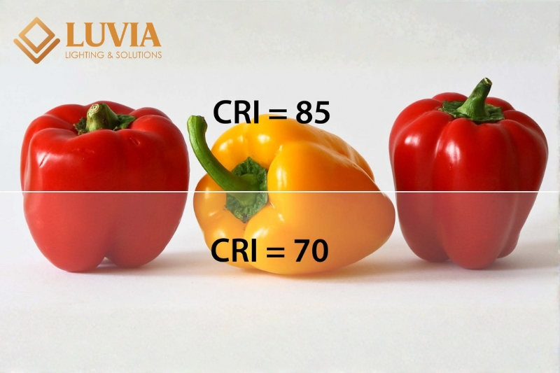 Chỉ Số Hoàn Màu