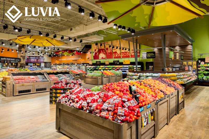 Đèn LED Trang Trí