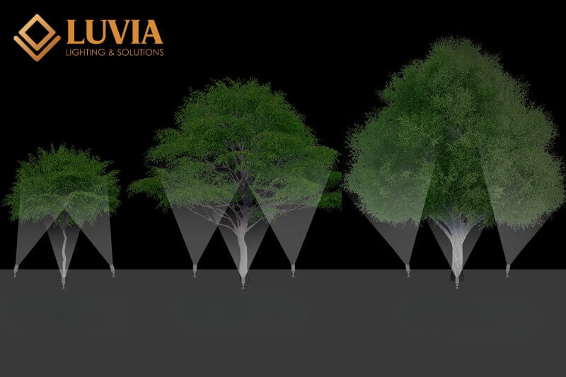 Đèn cây trang trí