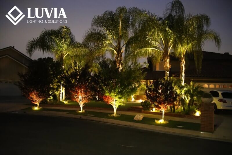 Đèn cây trang trí