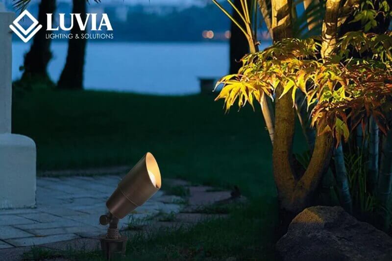 Đèn cây trang trí