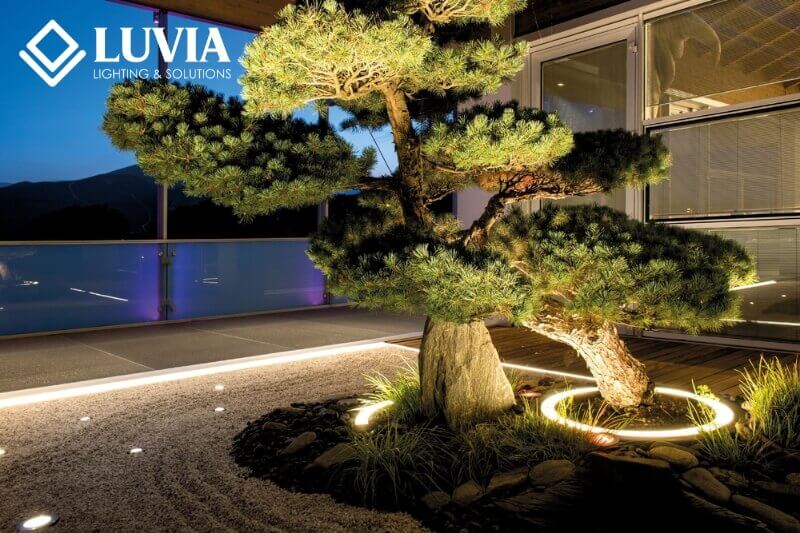 Đèn hắt cây ngoài trời