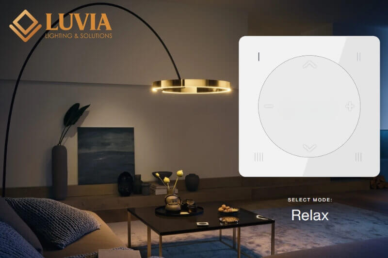 Đèn tròn trang trí