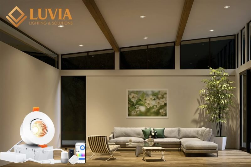 Đèn trần downlight