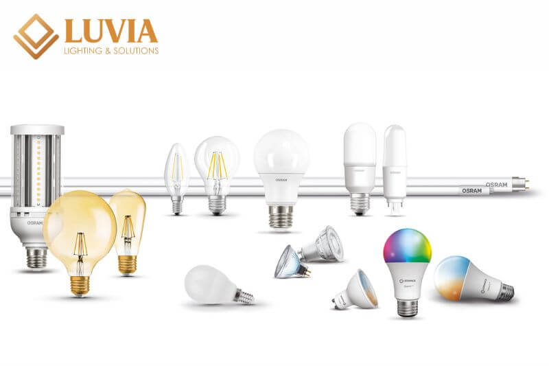 loại bóng đèn nào có tuổi thọ dài nhất