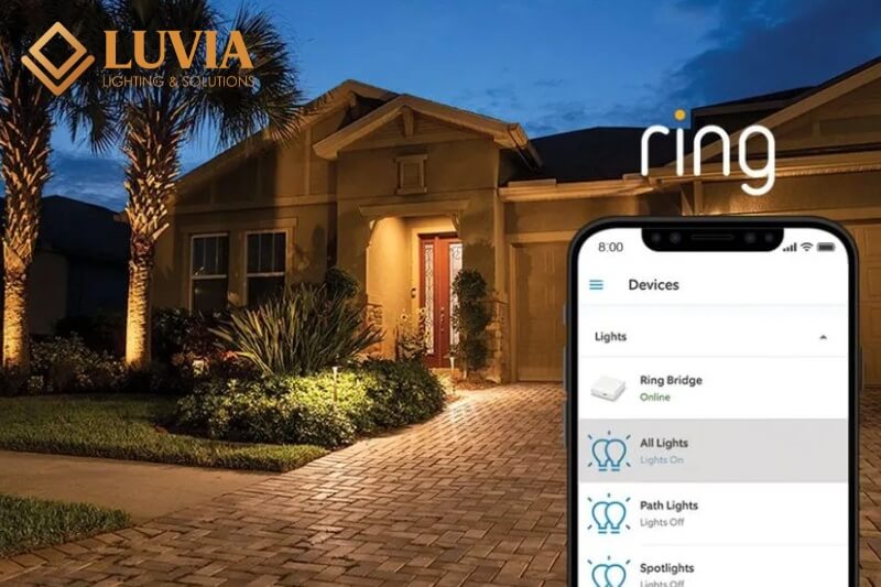 Mẫu đèn chiếu sáng sân vườn